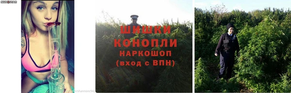 эйфоретик Красноперекопск