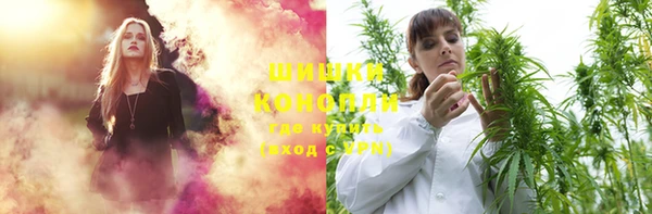 мяу мяу кристалл Корсаков