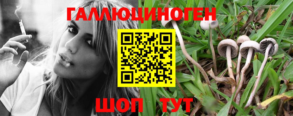 Псилоцибиновые грибы Magic Shrooms Бор