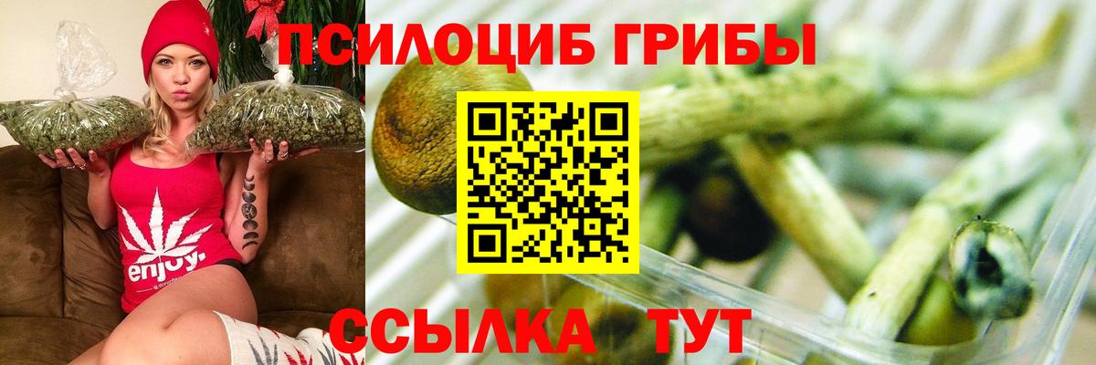 Псилоцибиновые грибы мицелий Бор