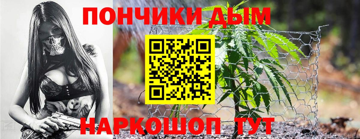 Канабис VHQ  Каннабис конопля  Марихуана семена  Бор  МАРИХУАНА гибрид 